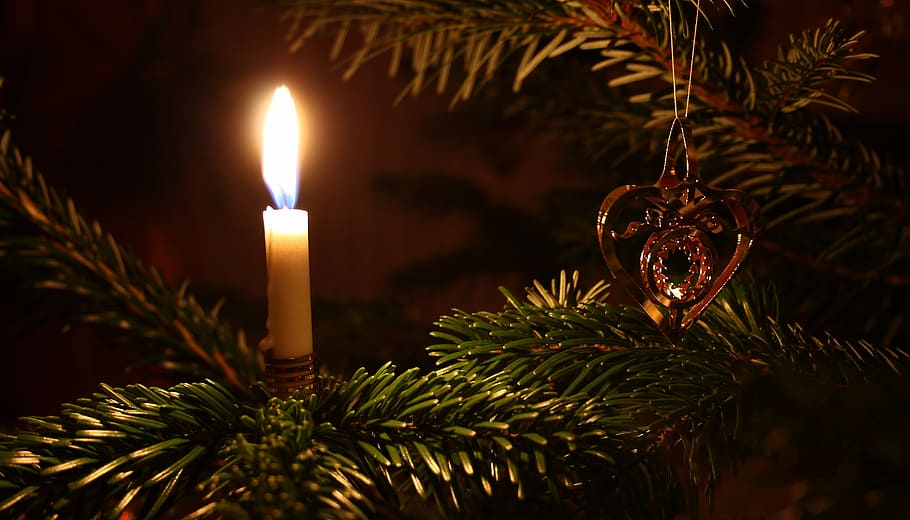 tealight candle, green, christmas tree, christmas, christmas decorations, christmas lights, christmas decoration, celebration, illuminated, night