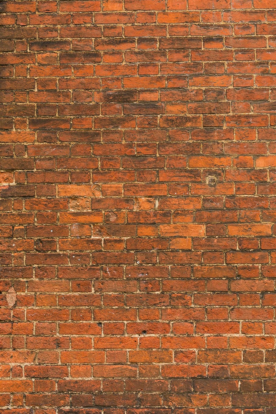 close-up photo, brown, concrete, brick wall, bricks, wall, grout, patterns, textures, orange