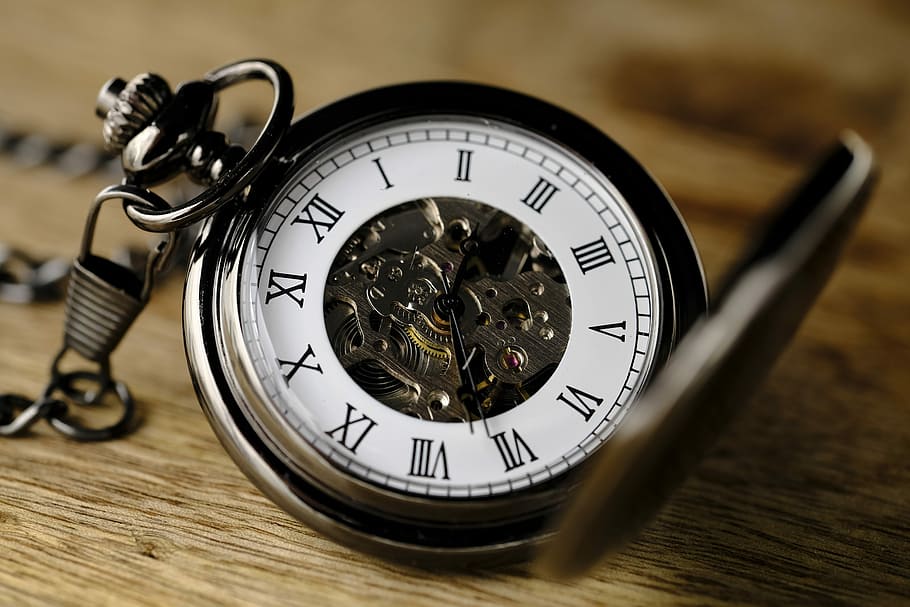 silver-colored skeleton pocket, watch, clock, pocket watch, movement, watchmaker, art, time of, time, pointer