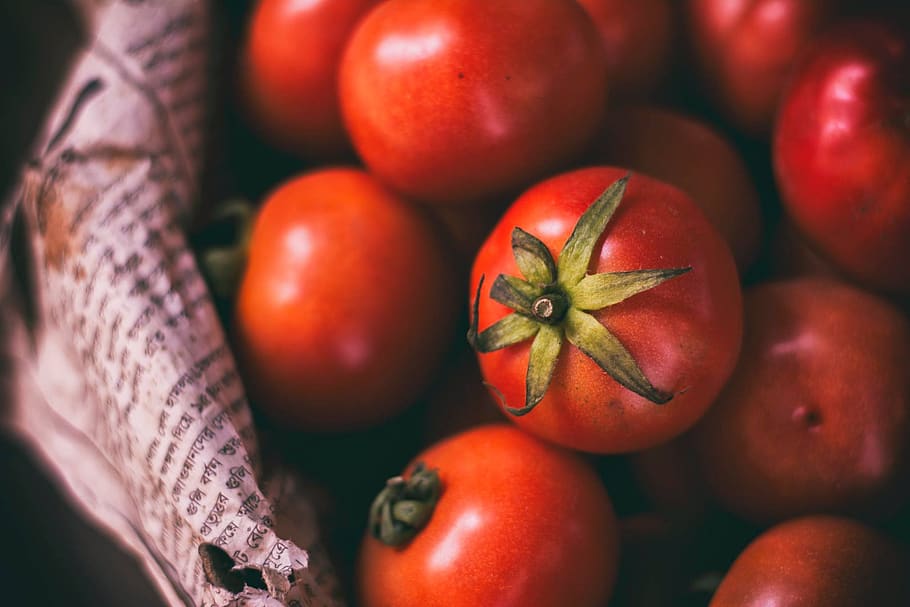 tomat, tanaman, sayuran, merah, segar, bahan, makanan, makan sehat, makanan dan minuman, buah