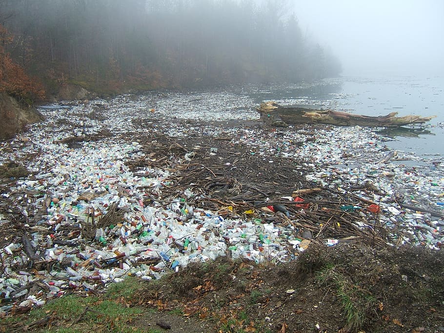 cuerpo, agua, lleno, botellas de plástico, troncos de losa, contaminación, drina, desechos plásticos, contaminación natural, basura