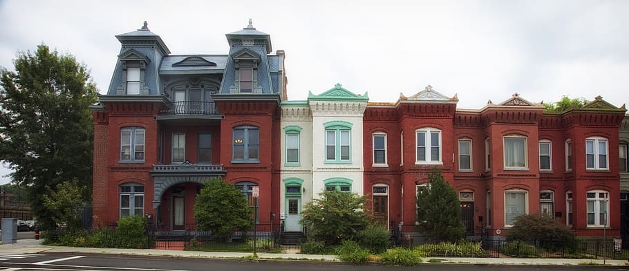 row houses, washington dc, city, cities, urban, architecture, historic, old, panorama, building exterior