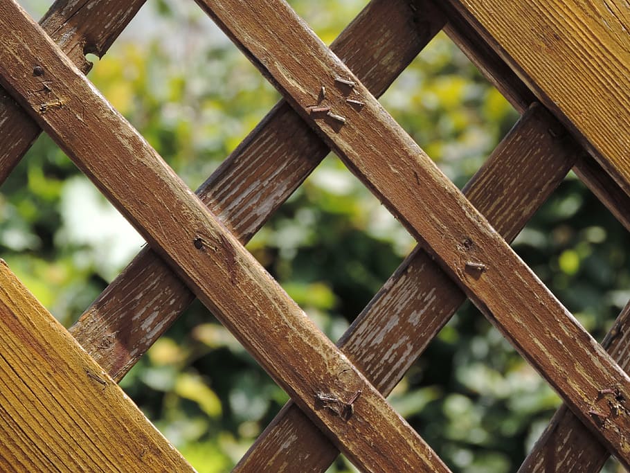garden fence, wooden slats, wood, wood fence, paling, summer, garden, nature, allotment, brown