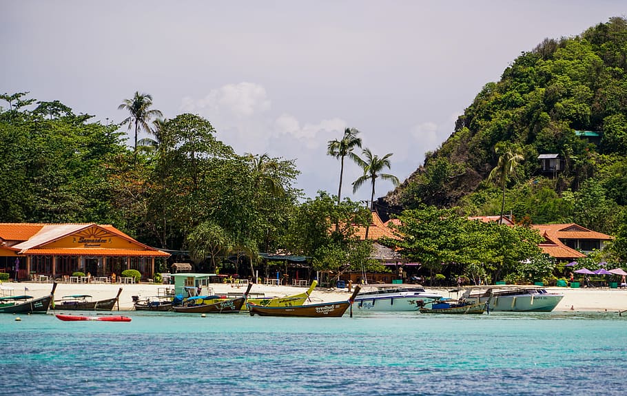 Ilha Phi Phi, Excursão, Phuket, Tailândia, excursão pela ilha de phi phi, arquitetura, barcos, cenário, mar, praia