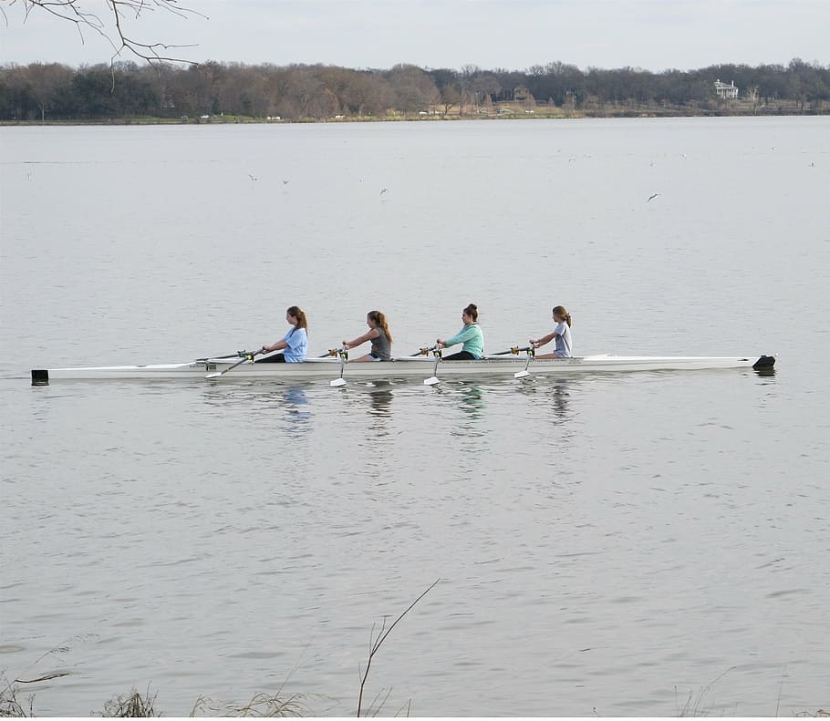 four, women rowing dragon boat, lake, daytime, rowing, scull, club, girls, water, boat