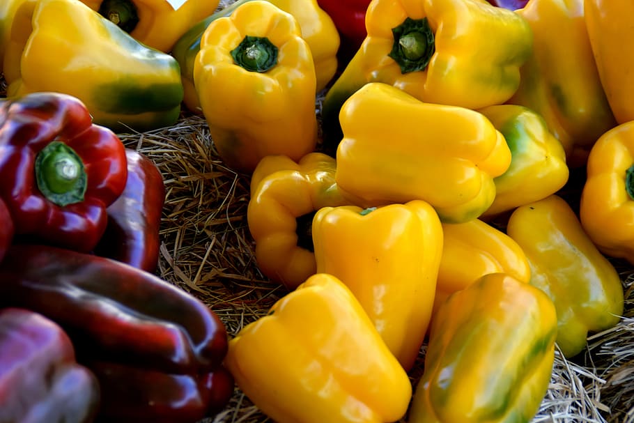 pepper, red chillies, yellow peppers, bell peppers, vegetables, vegetable, bell pepper, food, food and drink, freshness