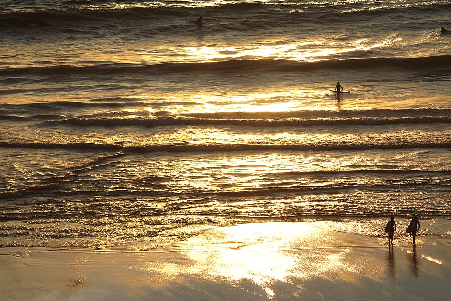 golden, dreams, delight, people on beach, water, sunset, sea, beach, beauty in nature, wave