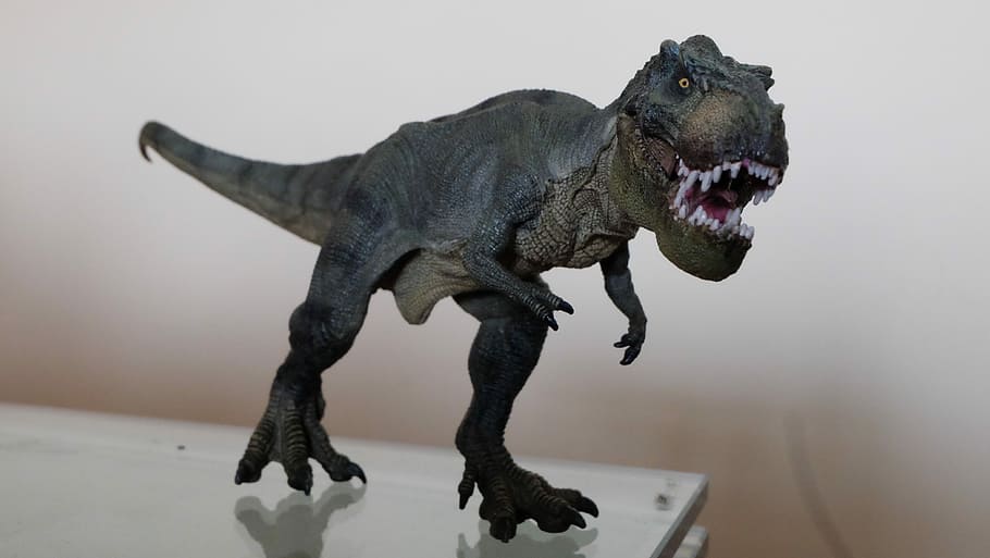 raso, fotografia com foco, cinza, estatueta de tiranossauro rex, mesa com tampo de vidro, foco raso, fotografia, Tiranossauro Rex, estatueta, vidro