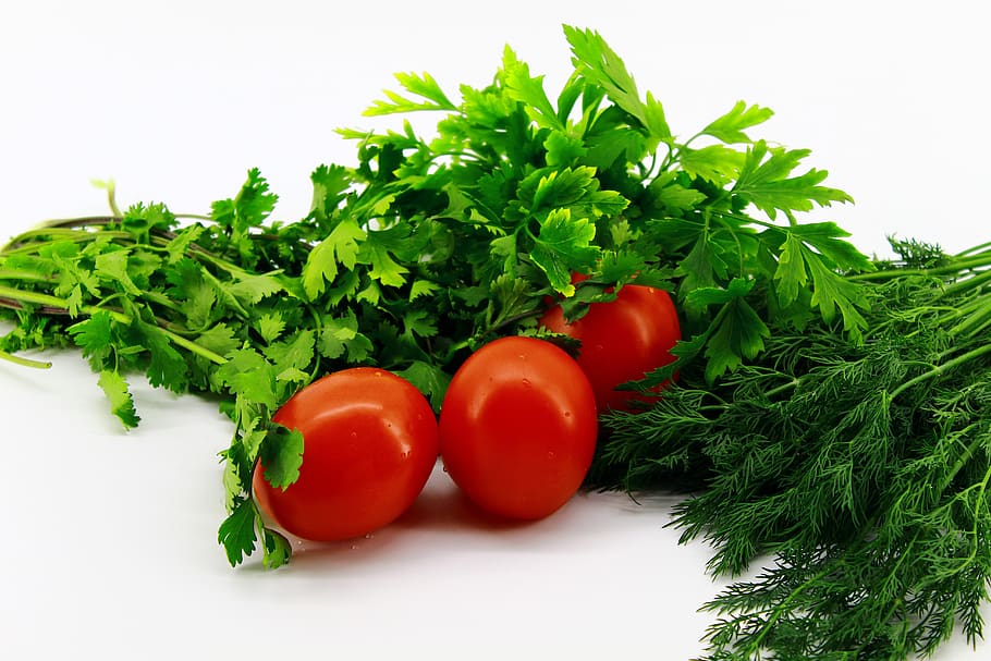 fondo blanco, verdes, perejil, eneldo, cilantro, tomates, rojo, en forma de ciruela, uno, tres