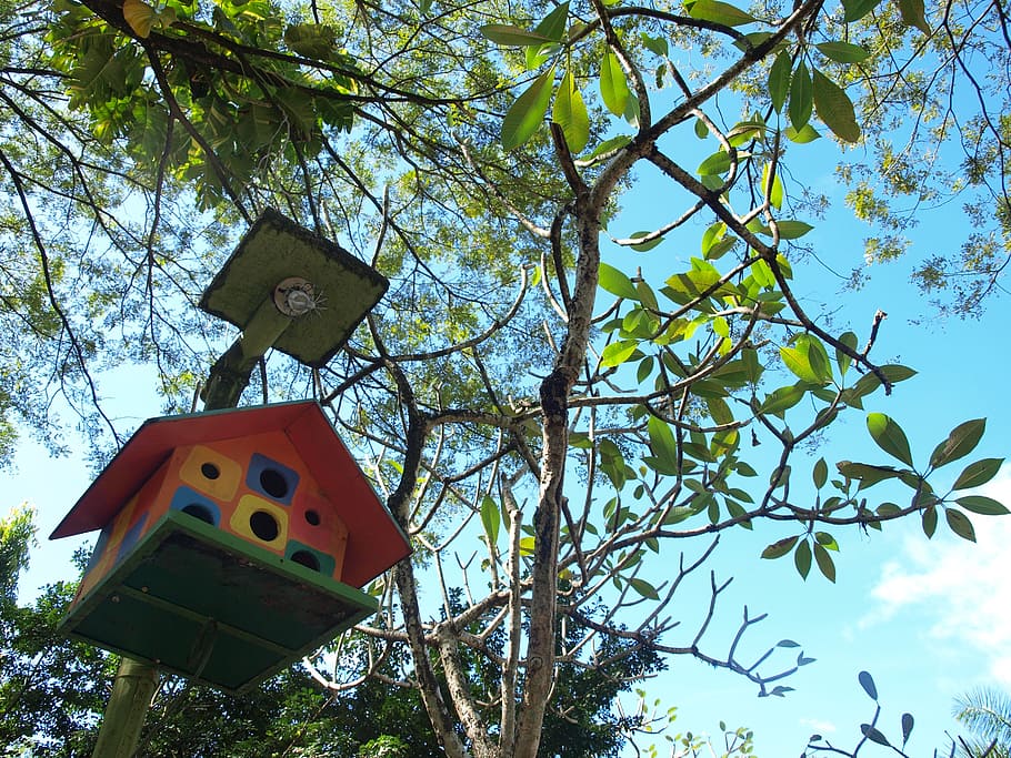 birdhouse, tree, wooden, decoration, garden, habitat, box, nest, plant, low angle view