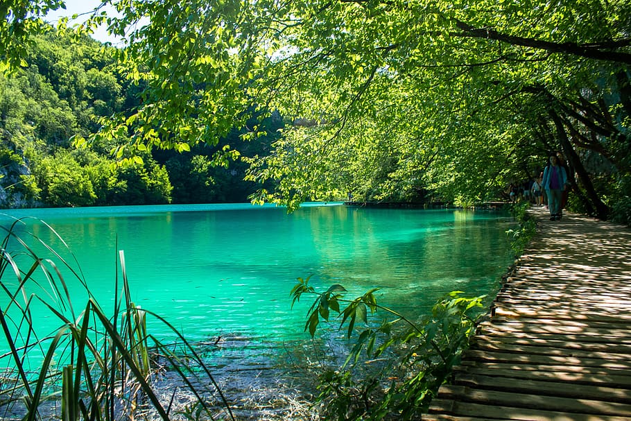 croatia, lakes, waterfall, nature, blue, travel, park, green, tourism, forest