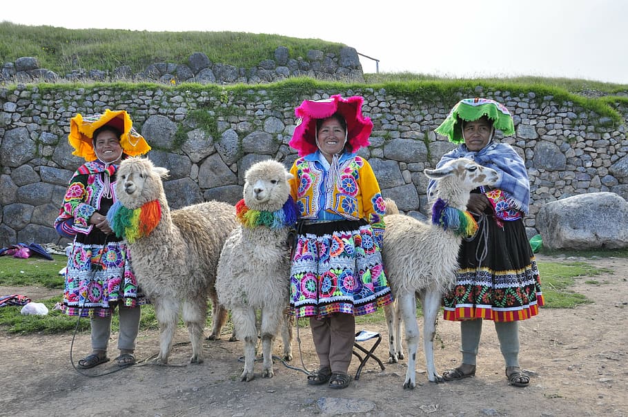 three, woman, alpaca, lama, mammal, andean quechua, peru, inca, tourism, architecture