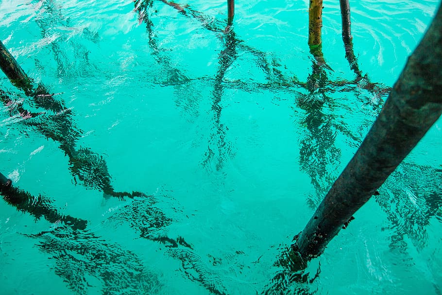 Agua, Transparencia, Turquesa, el mar poco profundo, pila, refracción, isla john longa, indonesia, piscina, bajo el agua