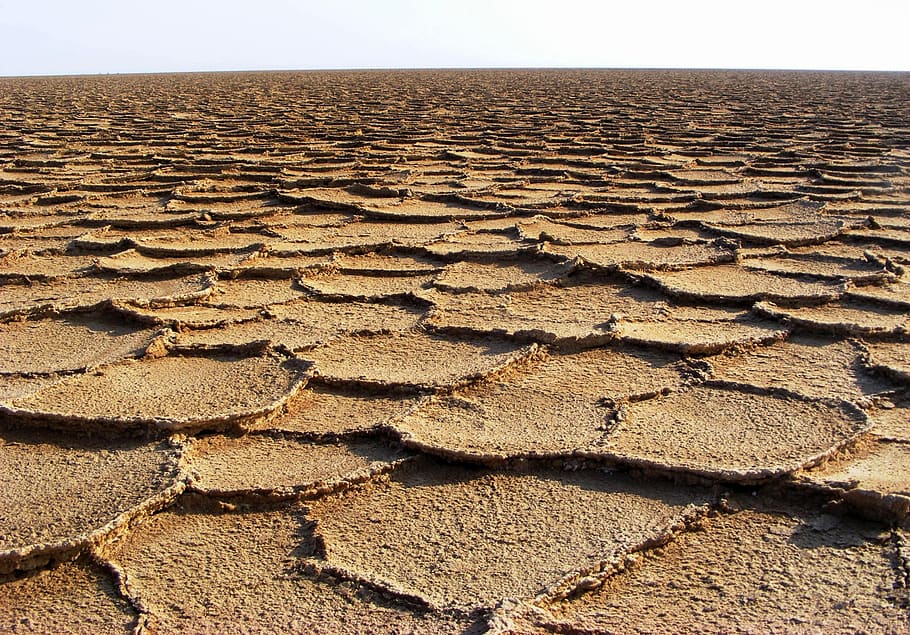 desert, land, arid, nature, landscape, dry, drought, cracked, earth, soil