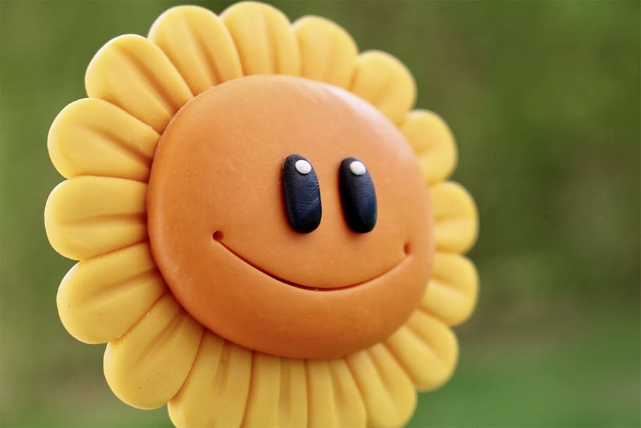 selective, focus photo, sunflower smile, funny, fun, good mood, sun flower, flower, sun, face