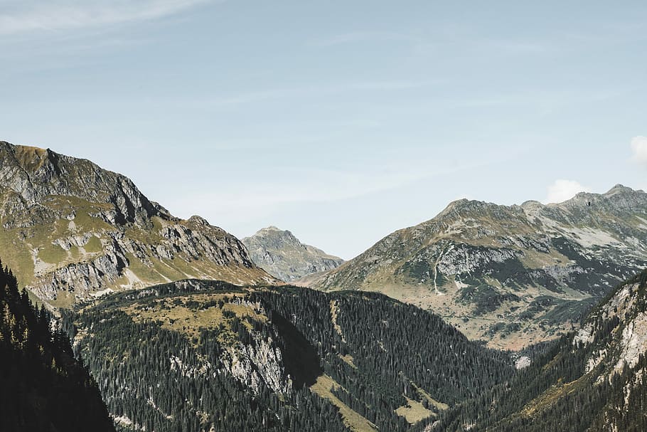grande, montañas, naturaleza austríaca, puro, austriaco, naturaleza, austria, bosque, verde, panorama