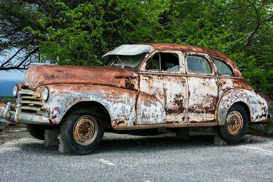 vintage, white, sedan, parked, green, leaf tree, brown, car, near, leaved