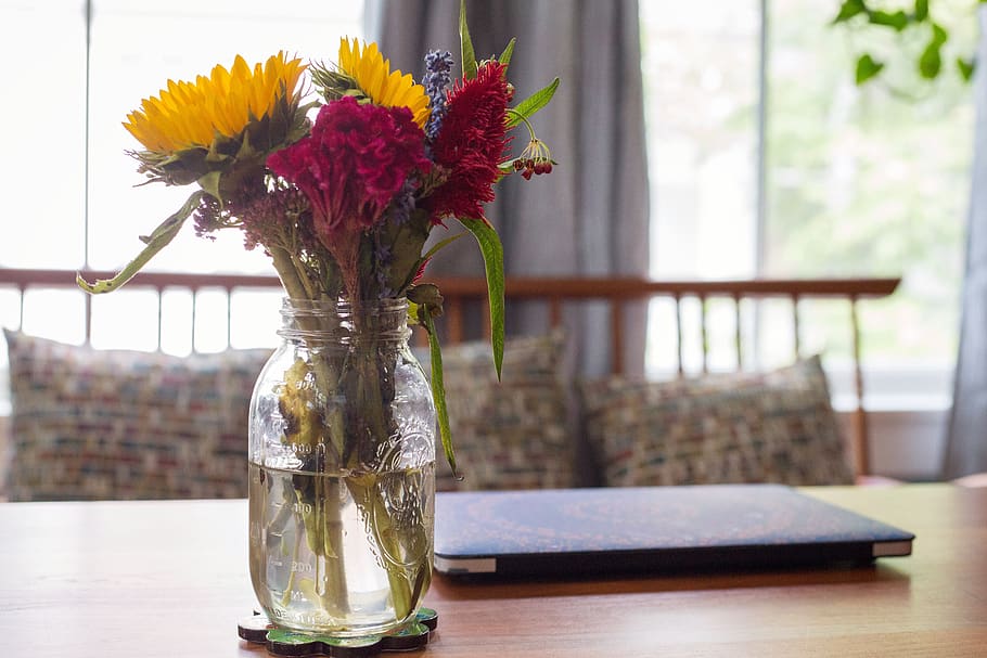 flower, vase, window, plant, glass, fresh, room, interior, decoration, daytime