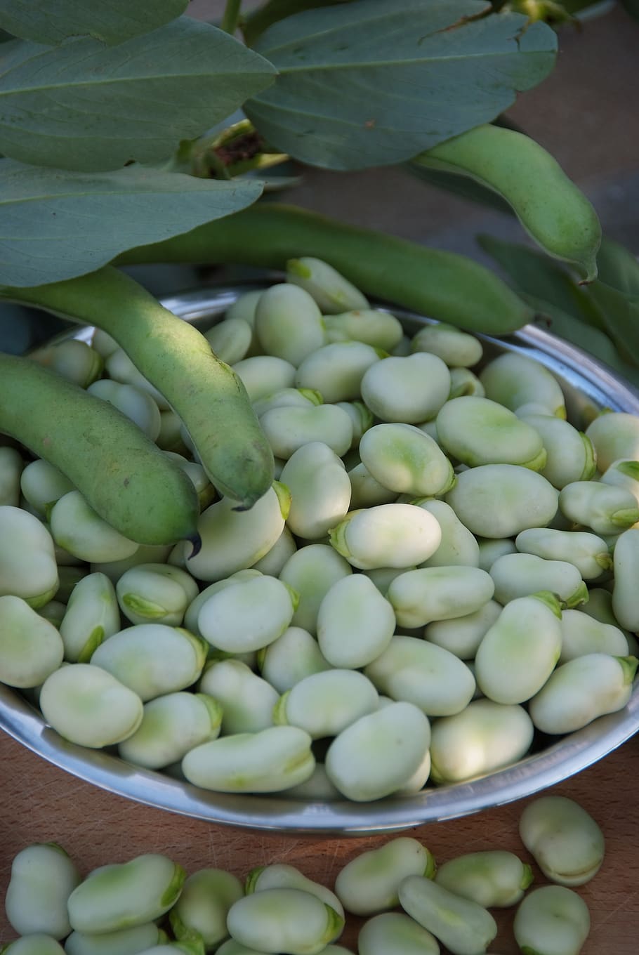 broad bean, pod, green, seeds, fresh, leaf, healthy eating, food and drink, food, green color