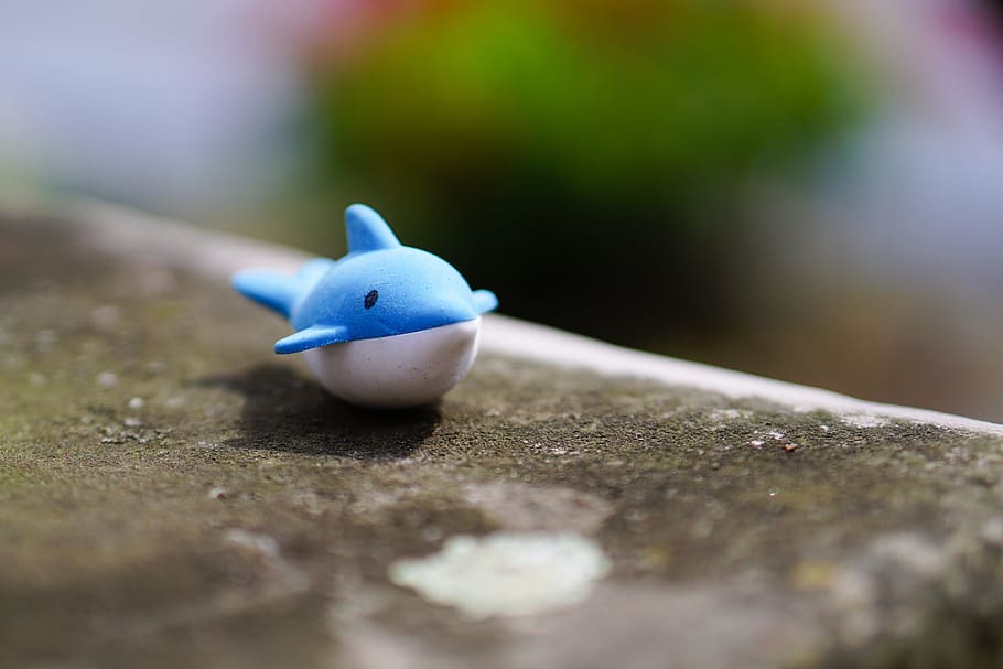 shallow, focus photography, blue, white, whale, wal, dolphin, water, toys, figure