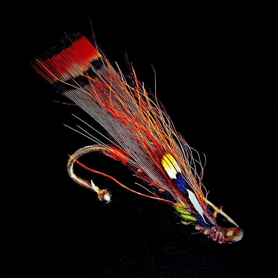 multicolored fish lure, salmon fly, fantasy, brooch, jewelry fly, fly fishing, from feather, container art, insect imitation, beautiful