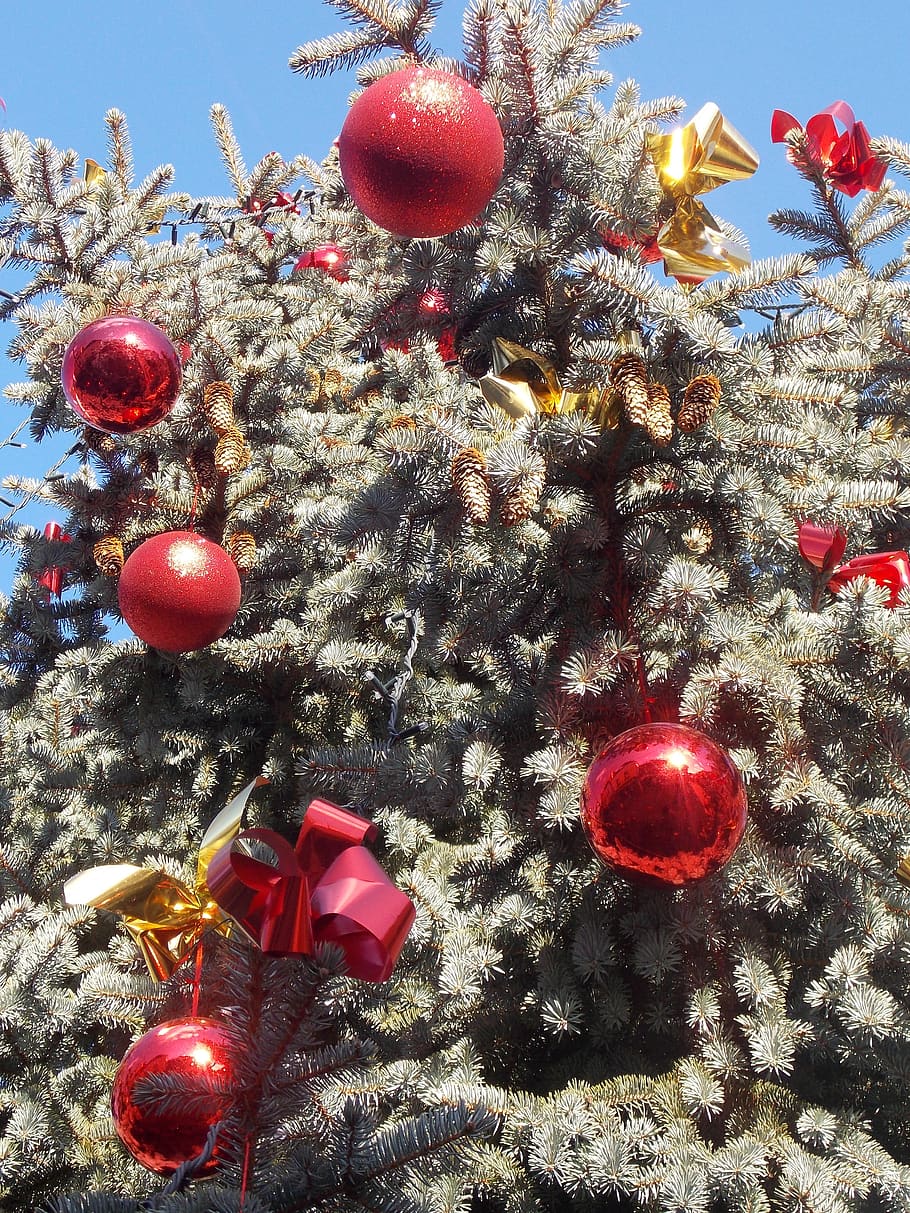 desember, natal, hari Natal, liburan, perayaan, dekorasi Natal, dekorasi, pohon, Natal ornamen, pohon Natal