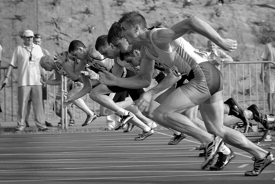 foto en escala de grises, atletas, correr, campo, spot, carreras, inicio, la, estadio, trotar