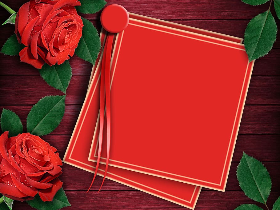 red, card, rose, flowers, rosa, love, gift, romantic, background romantic, wishes