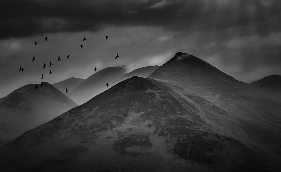 gray, scale, maintain, flocks, bird, lake district, mountains, landscape, clouds, rural