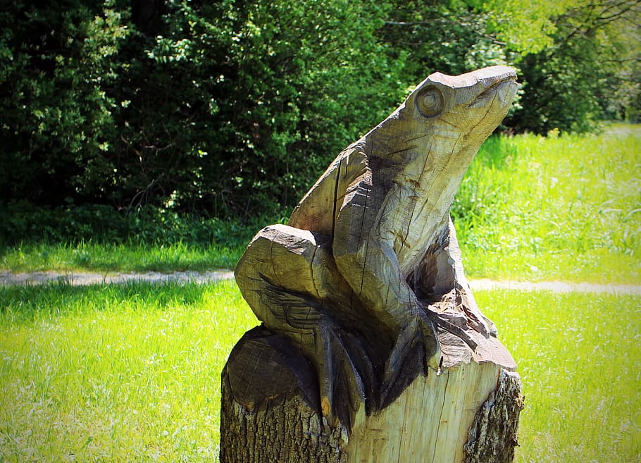 Frog, Sculpture, Figure, Wood, arts crafts, chainsaw art, carving, arts and crafts, wood carving, holzfigur