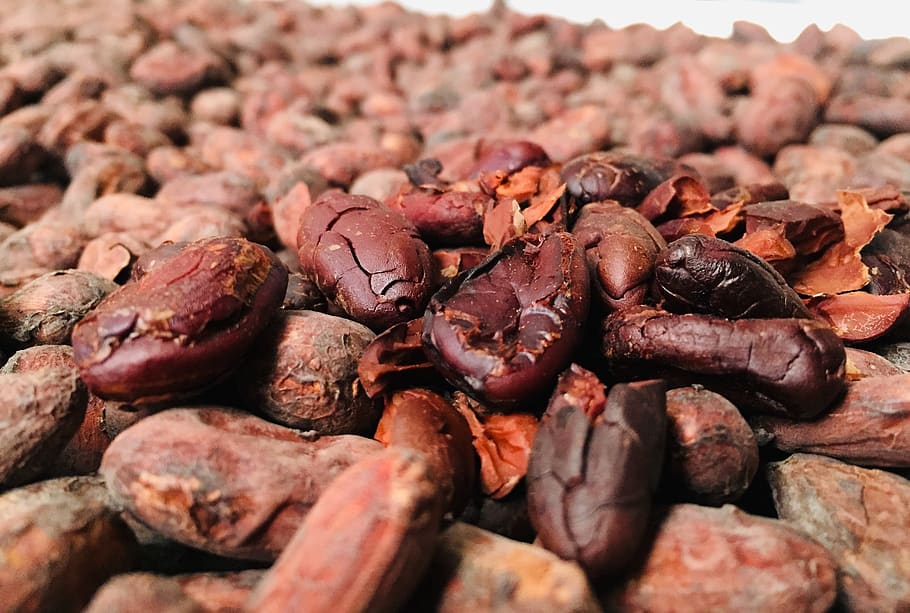 cocoa, toasted, chocolate, healthy, delicious, food and drink, food, large group of objects, close-up, still life - Pxfuel