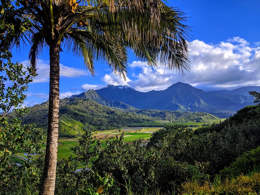 kauai, hawaii, naturaleza, paisaje, tropical, escénico, isla, vacaciones, paraíso, viaje