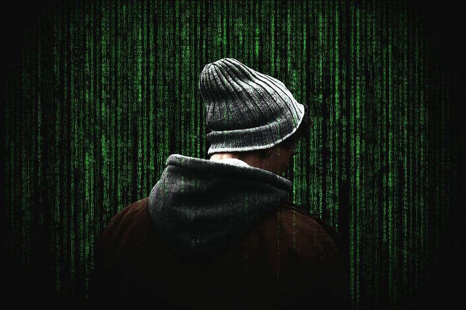 homem, de pé, verde, parede, segurança cibernética, segurança informática, segurança na Internet, segurança, Internet, computador
