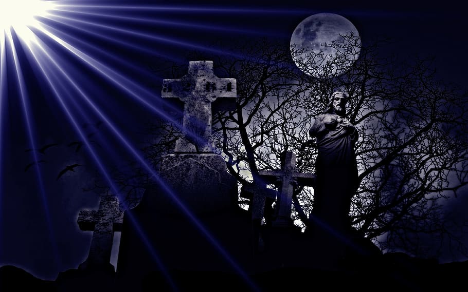 manejo, cementerio, fantasía, gótico, radio, luz, noche, una persona, árbol, en pie