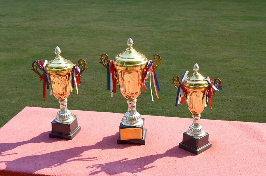 three, gold-colored trophies, table, brass, trophies, red, trophy, win, winner, winning