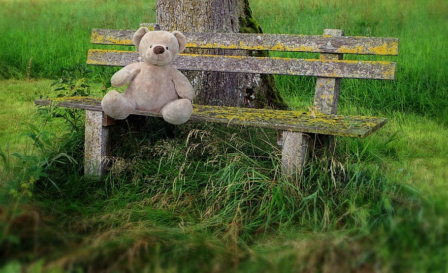 brown, teddy, bear, wooden, bench, daytime, teddy bear, wooden bench, park bench, lonely