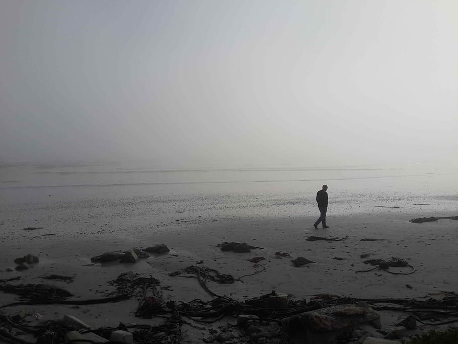 Praia, andar, névoa, contemplativo, masculino, areia, mar, costa, pessoa, caminhando