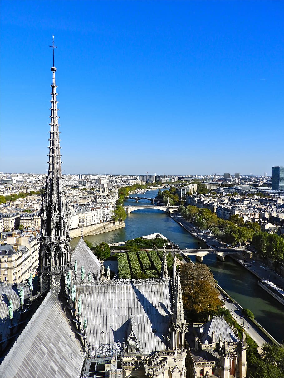 paris, cathedral, christianity, gothic, seine, architecture, notre-dame, building, catholic, panorama