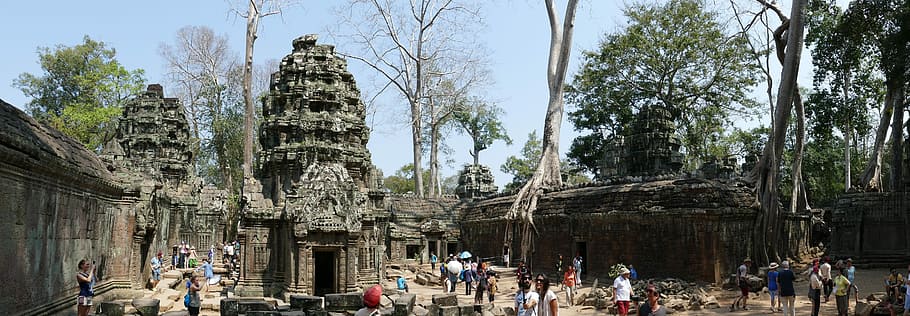 Angkor Wat, Camboja, Templo, Angkor, Ásia, complexo de templos, historicamente, ruína, raiz de árvore, selva