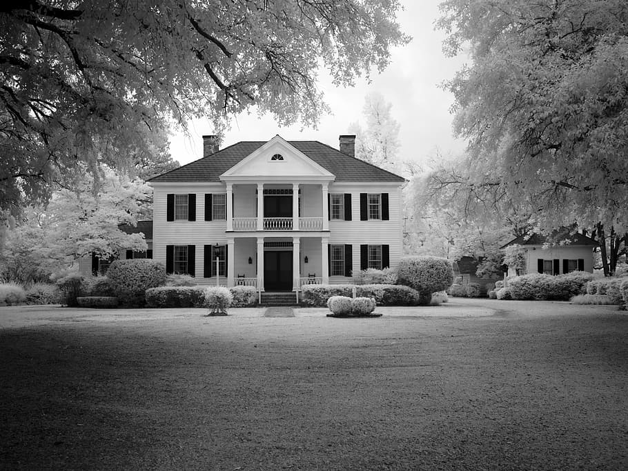 greyscale photography, house, surrounded, trees, manor house, villa, home, architecture, real estate, dream home