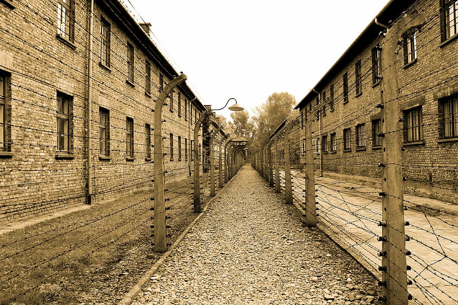 photography, fence, house, auschwitz, extermination camp, alley, concentration camp, labour camp, death, the museum