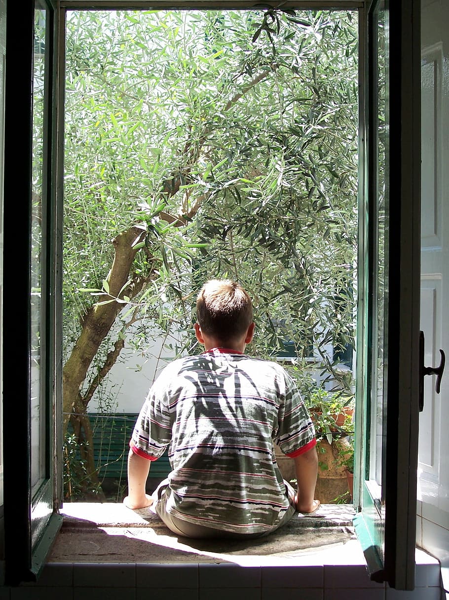 window, guy from behind, olivo, olive tree, trees, leaves, one Person, men, people, adult