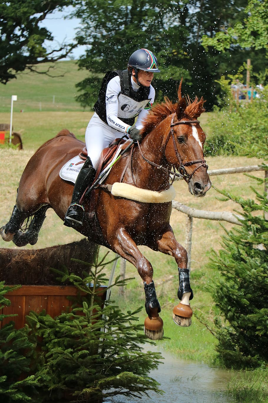 haras du pin, national stud, haras, great full, jumping, cross, horses, horse, competition, jumper
