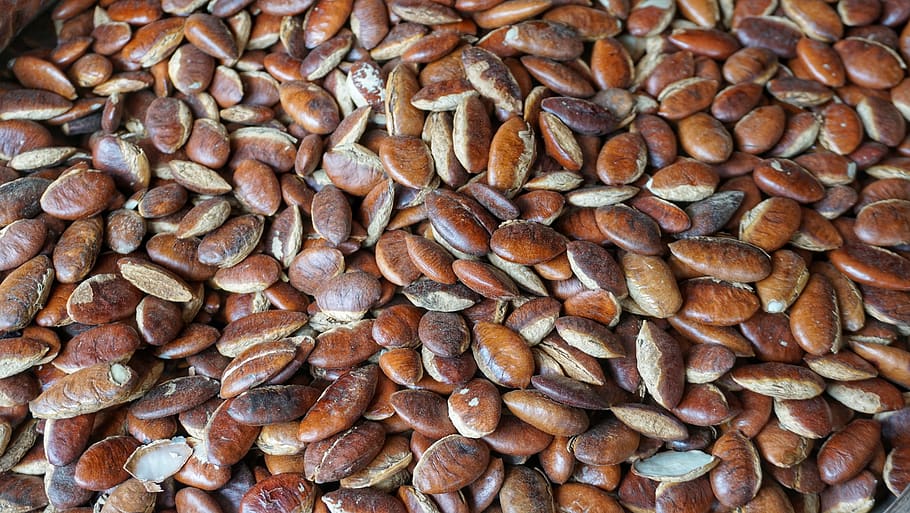 jabok, almonds, nuts, seed, food, batch, nutrition, thailand, dry, closeup