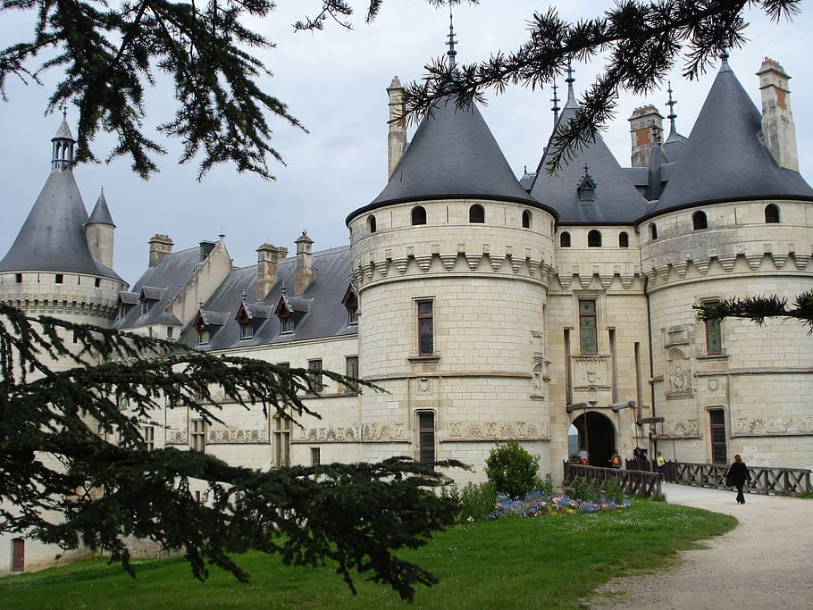 chaumont-sur-loire, kastil, warisan sejarah, arsitektur, sejarah, eksterior bangunan, pohon, struktur yang dibangun, tanaman, bangunan