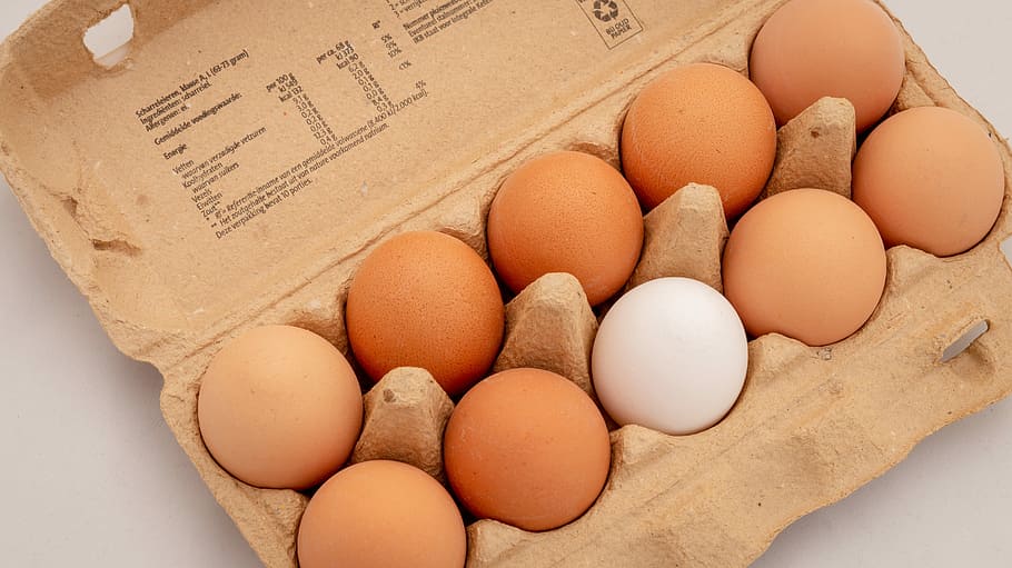 ten, organic, eggs, box, egg, different, difference, food, food and drink, brown
