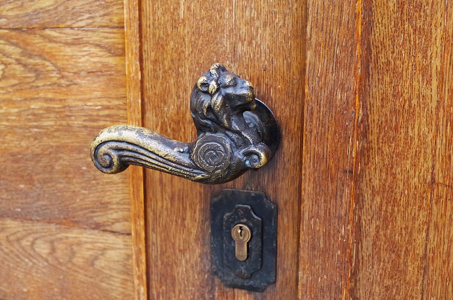 manija de la puerta, antiguo, león, hierro, viejo, puerta, madera - material, entrada, metal, pomo