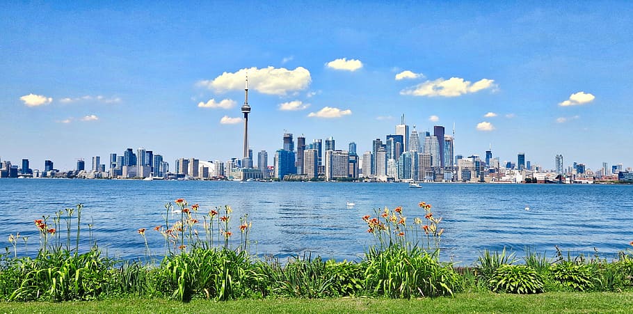 body of water, toronto, city, landscape, panorama, architecture, view, water, panorama of the city, buildings