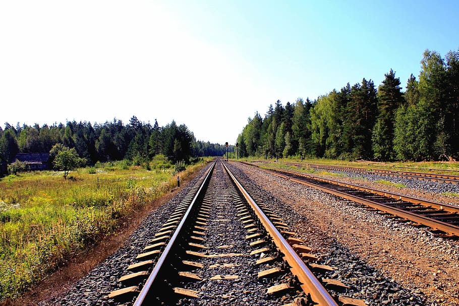 vacío, marrón, vía del tren, verde, plantas, durante el día, ferrocarril, rodeado, árboles, azul
