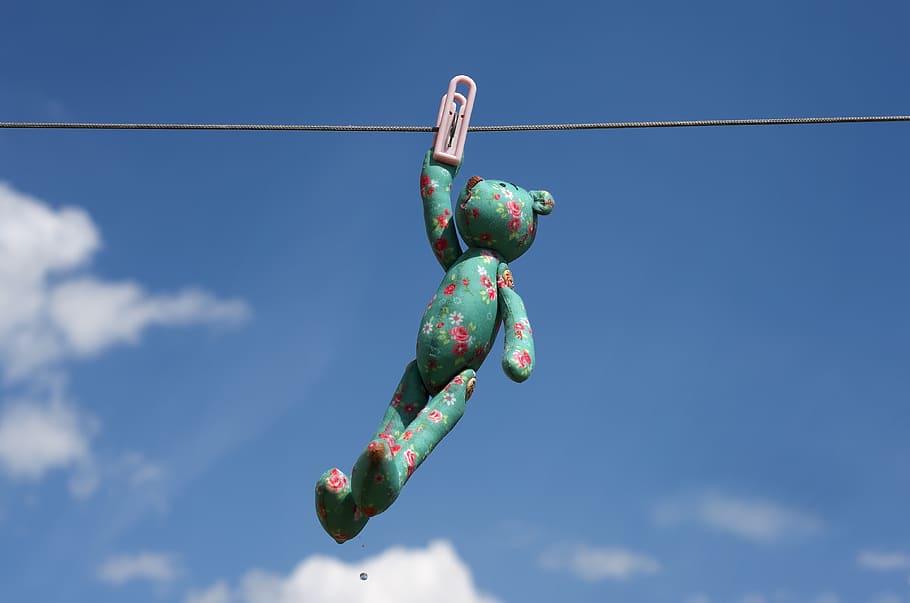 toy, pin, clothesline, childhood, toy bear, sky, summer, soft toy, multi colored, blue